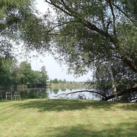 Ferienwohnungen Im Kunst.Haus Am See Doberlug-Kirchhain エクステリア 写真