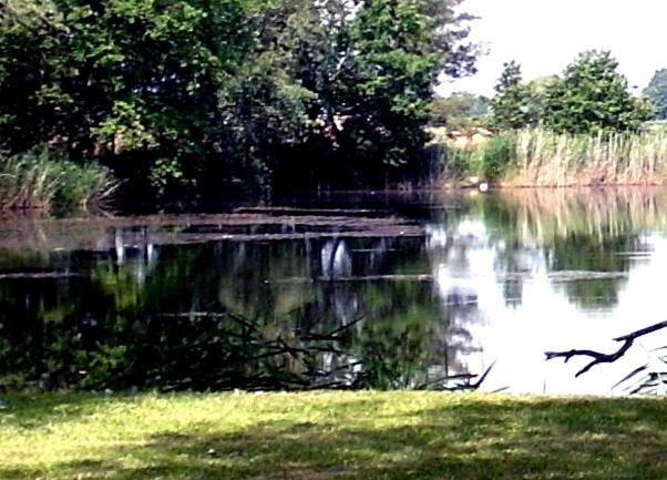 Ferienwohnungen Im Kunst.Haus Am See Doberlug-Kirchhain エクステリア 写真