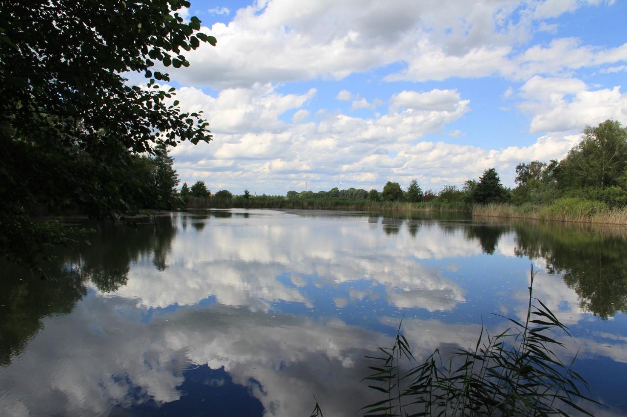 Ferienwohnungen Im Kunst.Haus Am See Doberlug-Kirchhain エクステリア 写真